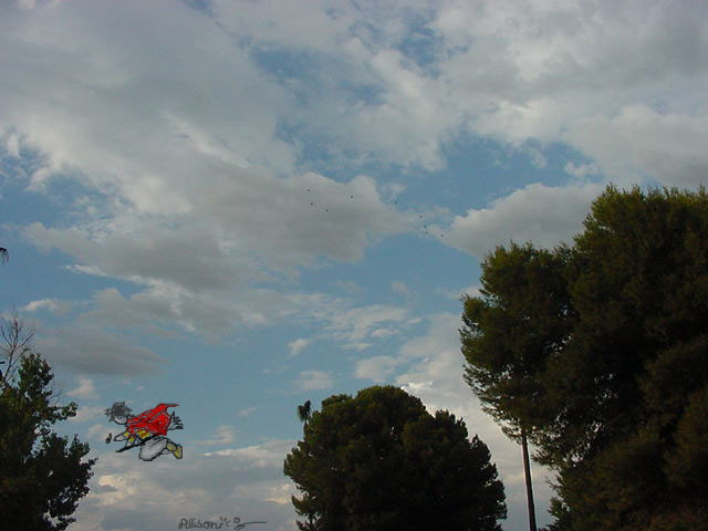 LOOK! HP FLYING ABOVE MY HOUSE!!! :^D